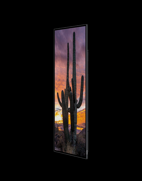Pana X premium ultrawide display front view showing edge-to-edge glass